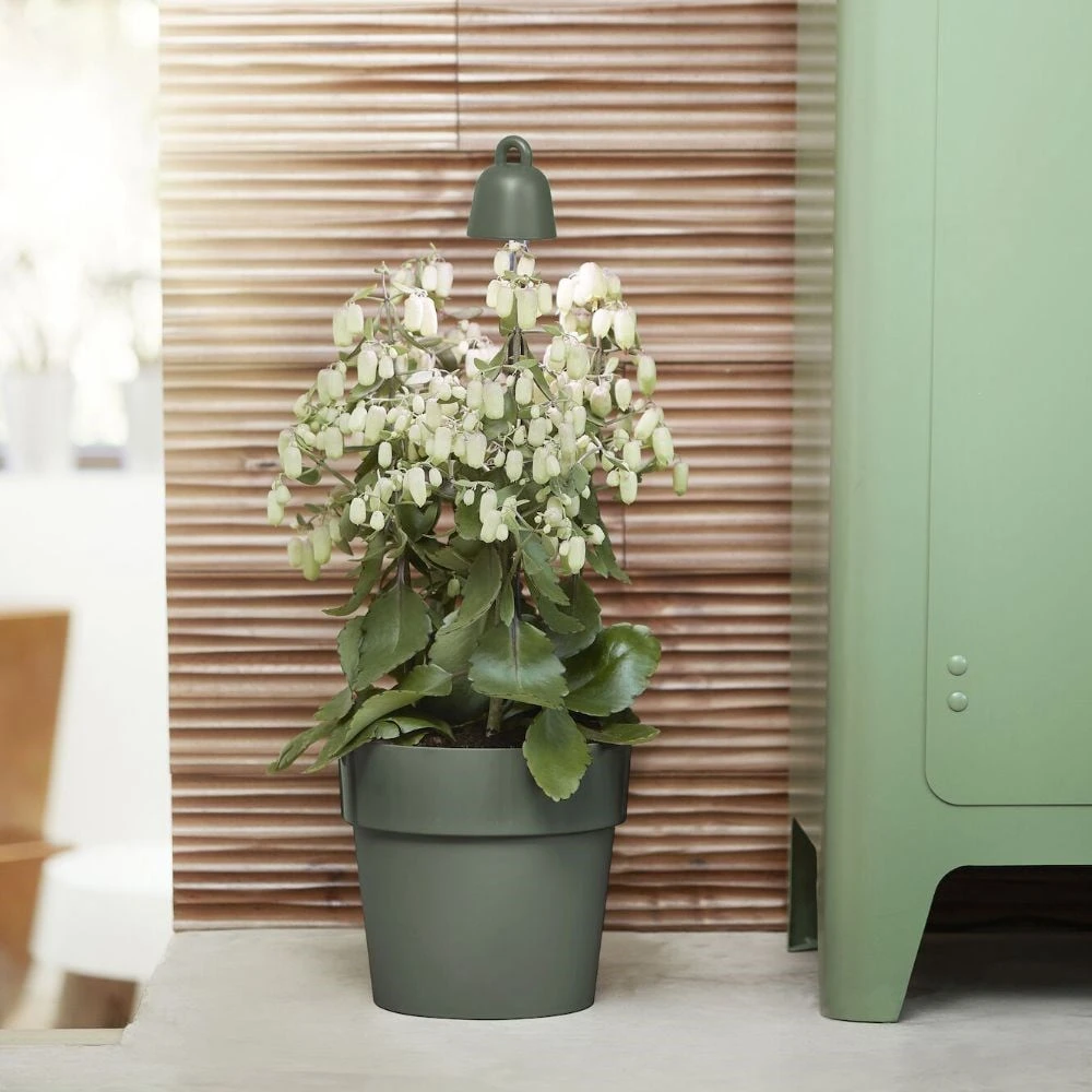 Leaf Grow Light 4 Leaf Grow Light - Image 2