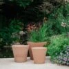 Conical Italian Terracotta Pot -Herbalife Shop pr2000040882
