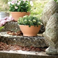 Natural Terracotta Bowl Planter -Herbalife Shop pr2000040885 card2 lg