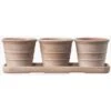 Italian Terracotta Pots Whitewash - Set Of 3 With Tray 2 Italian Terracotta Pots Whitewash - Set Of 3 With Tray -Herbalife Shop pr2000040888