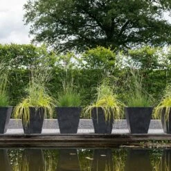 Tapered Plant Pot - Black