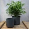 Straight Edged Plant Pot - Black -Herbalife Shop pr2000041559