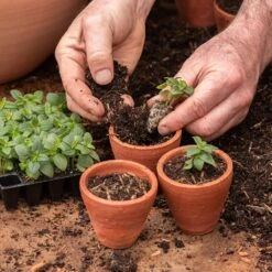 Galvanised Box With Ten Grow Pots -Herbalife Shop pr2000041739 card5 lg