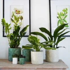 Stoneware Meadow Planter Olive -Herbalife Shop pr2000043077 card2 lg