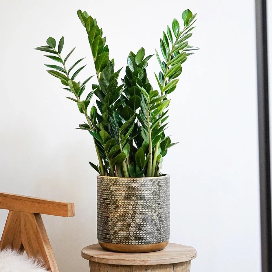 Steel Embossed Plant Pot - Gold 3 Steel Embossed Plant Pot - Gold