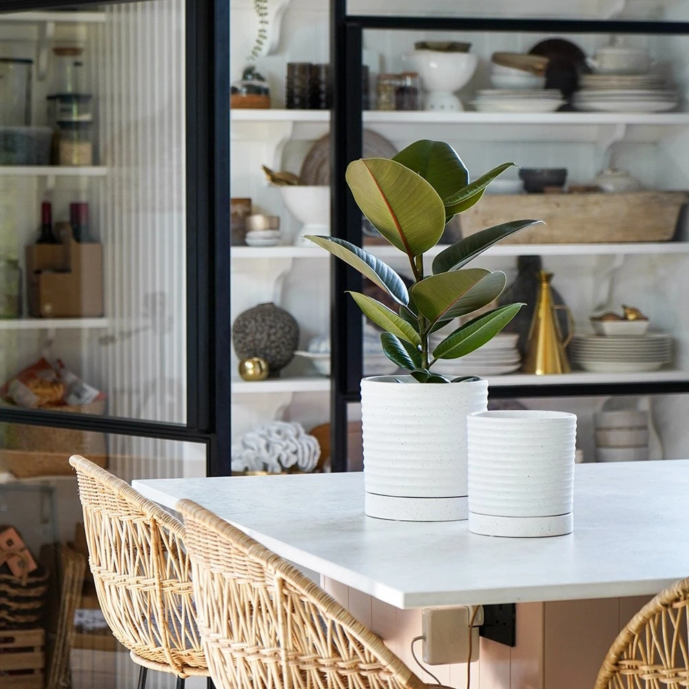 Stoneware Plant Pot & Saucer - White 4 Stoneware Plant Pot & Saucer - White - Image 2