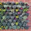 Living Wall Vertical Planting Set - 2.3m2 -Herbalife Shop pr2000044785