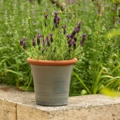 Grey Kitchen Planter 13 Grey Kitchen Planter -Herbalife Shop pr2000044988 card4 lg