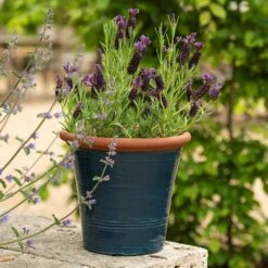 Dark Teal Kitchen Planter -Herbalife Shop pr2000044992 card6 lg