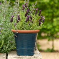 Dark Teal Kitchen Planter -Herbalife Shop pr2000044992 card7 lg