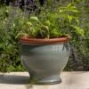 Grey Bellied Planter 1 Grey Bellied Planter -Herbalife Shop pr2000045000