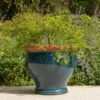 Dark Teal Bellied Planter -Herbalife Shop pr2000045004