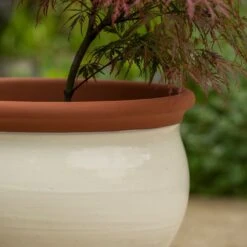 Ivory Bellied Planter -Herbalife Shop pr2000045026 card3 lg