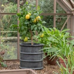 Greystoke Barrel Planter 18 Greystoke Barrel Planter -Herbalife Shop pr2000046297 card7 lg