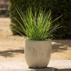 Glazed Ceramic Pot - White -Herbalife Shop pr2000046300 card3 lg