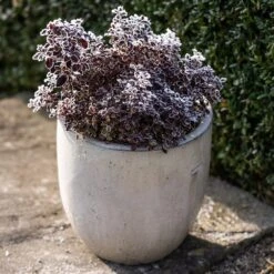 Glazed Ceramic Pot - White -Herbalife Shop pr2000046300 card6 lg