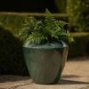 Glazed Terracotta Feature Pot - Moss Green 2 Glazed Terracotta Feature Pot - Moss Green -Herbalife Shop pr2000046302