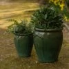 Glazed Terracotta Tulip Pot - Misty Green 2 Glazed Terracotta Tulip Pot - Misty Green -Herbalife Shop pr2000046304