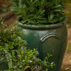 Glazed Terracotta Tulip Pot - Misty Green -Herbalife Shop pr2000046304 card2 lg