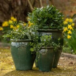 Glazed Terracotta Tulip Pot - Misty Green -Herbalife Shop pr2000046304 card3 lg