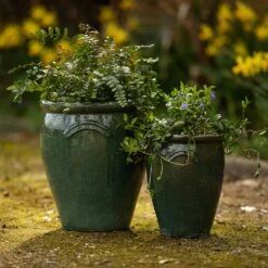 Glazed Terracotta Tulip Pot - Misty Green -Herbalife Shop pr2000046304 card4 lg