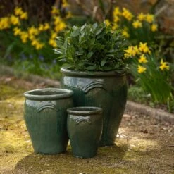 Glazed Terracotta Tulip Pot - Misty Green -Herbalife Shop pr2000046304 card6 lg