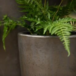 Glazed Terracotta Long Tom Pot - Matt Charcoal -Herbalife Shop pr2000046307 card2 lg