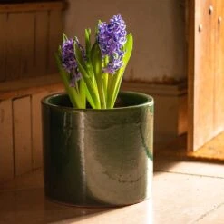 Glazed Ceramic Cylinder Crackle Green -Herbalife Shop pr2000046309 card6 lg