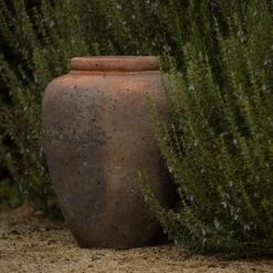 Terracotta Jar - Sandblasted -Herbalife Shop pr2000046313 card3 lg