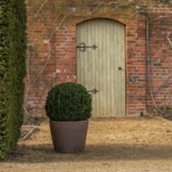 Tapered Terracotta Pot - Sandblasted -Herbalife Shop pr2000046314 card6 lg