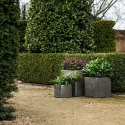 Cement Cube Pot - Waxed -Herbalife Shop pr2000046317 card6 lg