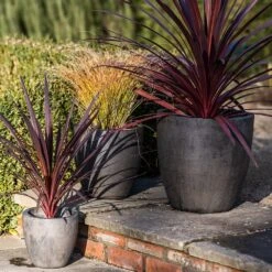 Cement Pot - Waxed -Herbalife Shop pr2000046322 card5 lg