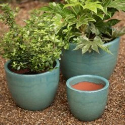 Glazed Terracotta Pot - Reef Blue 11 Glazed Terracotta Pot - Reef Blue -Herbalife Shop pr2000046329 card4 lg