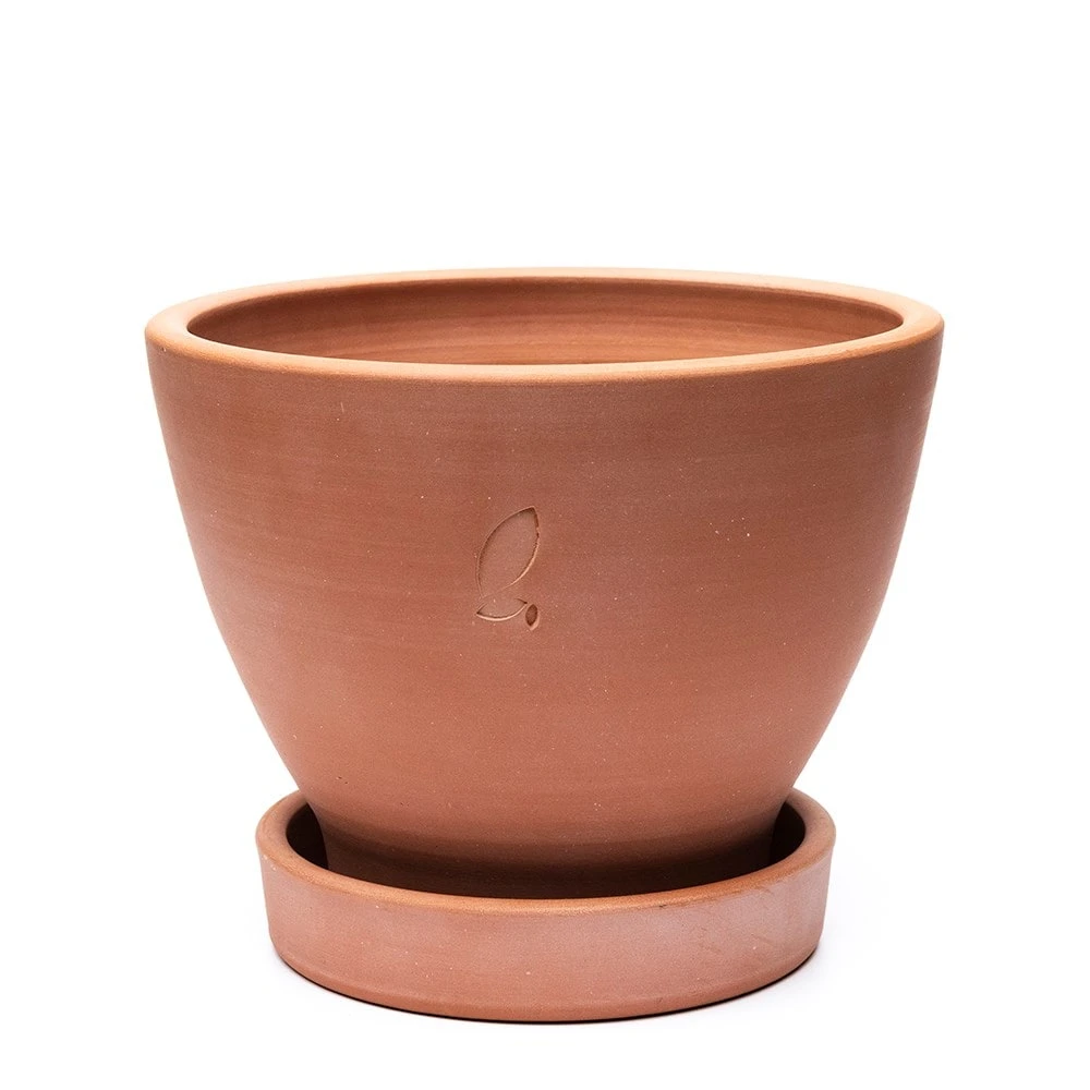 Terracotta Herb Pot And Saucer - Large 5 Terracotta Herb Pot And Saucer - Large - Image 3