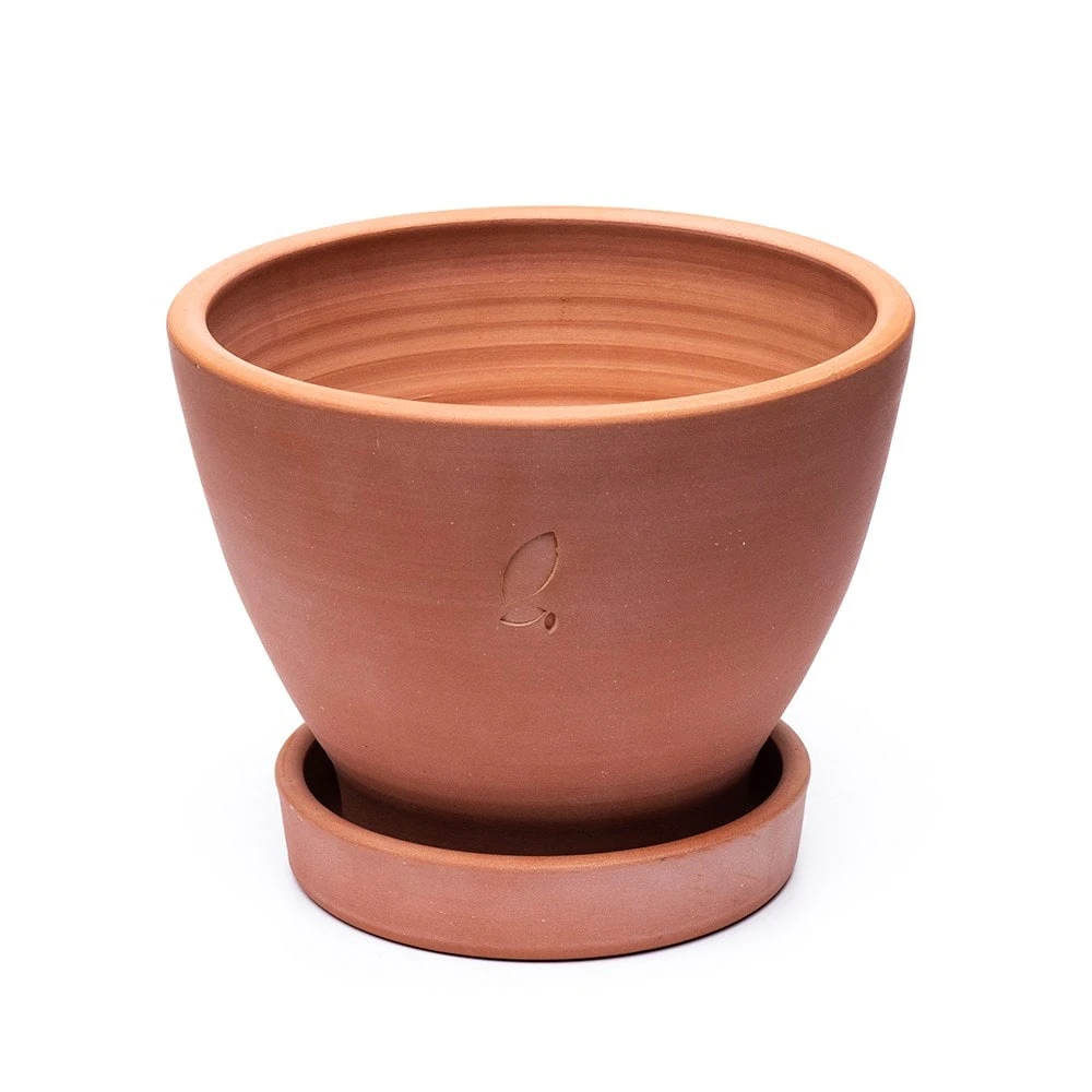 Terracotta Herb Pot And Saucer - Large 6 Terracotta Herb Pot And Saucer - Large - Image 4