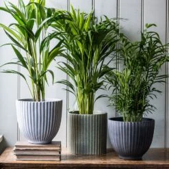 Ribbed Terracotta Plant Pot - Dark Grey 7 Ribbed Terracotta Plant Pot - Dark Grey -Herbalife Shop pr2000047103 card3 lg