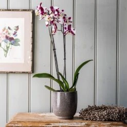 Reactive Glaze Plant Pot - Grey -Herbalife Shop pr2000047911 card2 lg