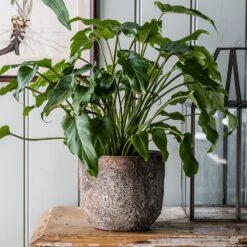 Herbalife Shop -Herbalife Shop pr2000047913 card2 lg