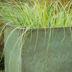 Square Terrace Planter - Verdigris -Herbalife Shop pr2000048721 card8 lg