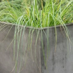 Square Terrace Planter - Weathered Cement -Herbalife Shop pr2000048722 card5 lg