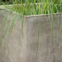 Square Terrace Planter - Weathered Cream -Herbalife Shop pr2000048723 card5 lg