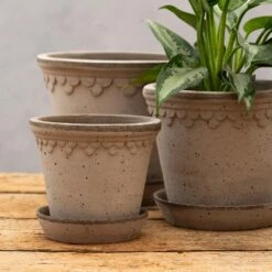 Scalloped Tapered Plant Pot With Saucer - Grey Terracotta -Herbalife Shop pr2000049049 card2 lg